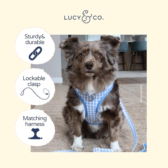 Lucy & Co. Silly Goose Dog Leash, Durable Matching Dog Lead with Heavy Duty Hardware, Small