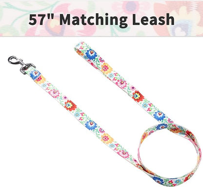 Ihoming Puppy Collar and Leash Set for Daily Outdoor Walking Running Training, White Colorful Flowers Design for Extra Small Boys Girls Dogs Cats Pets, XS-Up to 10LBS