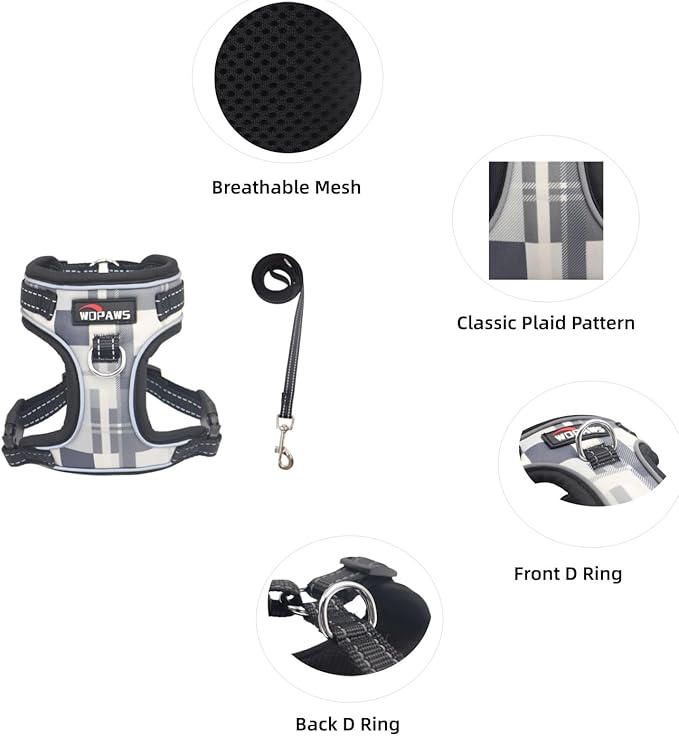 No Pull Dog Harness and Leash Set-Reflective Plaid Design, Adjustable & Comfortable with Front D Ring for Small Medium Dogs (XS, Black Plaid)