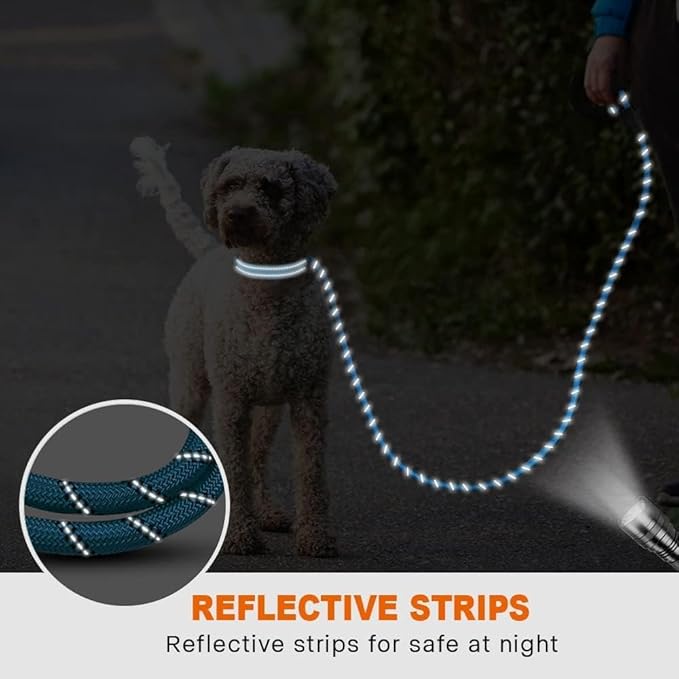 Taglory Rope Dog Leash 5 FT with Comfortable Padded Handle, Highly Reflective Threads Leash and Anti-Tangle Clip for Walking Small Dogs, 3/8 inch, Blue