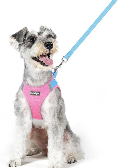 rabbitgoo Dog Harness Small Medium Sized and Leash Set, Step in Soft Light Puppy Vest, Breathable Mesh Pet Harness, Reflective for Safe Easy Walking, Blue & Light Pink XL