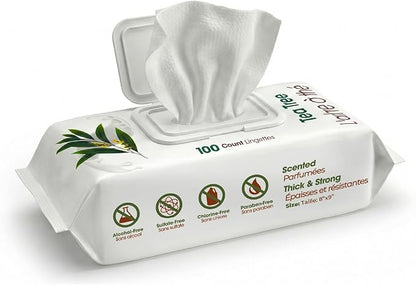 Best Pet Supplies 8" x 9" Large Dog Wipes - Cleaning and Deodorizing for Paws and Coat - Gentle Formula with Tea Tree Vitamin E for Puppies and Cats - 100 Count