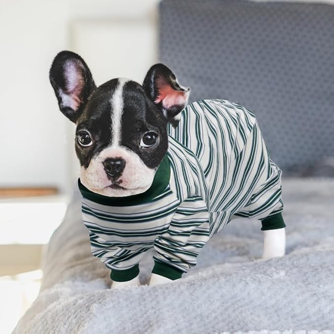 FEimaX Dog Recovery Suit After Surgery, Puppy Spay Neuter Prevent Licking Onesie Alternative Bandages E-Collar & Cone, Pet Abdominal Wounds Post Surgical Shirt for Dogs Cats