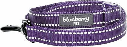 Blueberry Pet Essentials Durable 3M Reflective Classic Dog Leash 4 ft x 1", Violet, Large, Leashes for Dogs