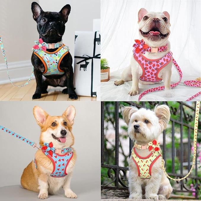Dog Cat Harness with Leash Yellow Printed Dog Collar Leash Set Personalized Pet Dog Collar Harnesses Walking Leash for Medium Large Dogs S