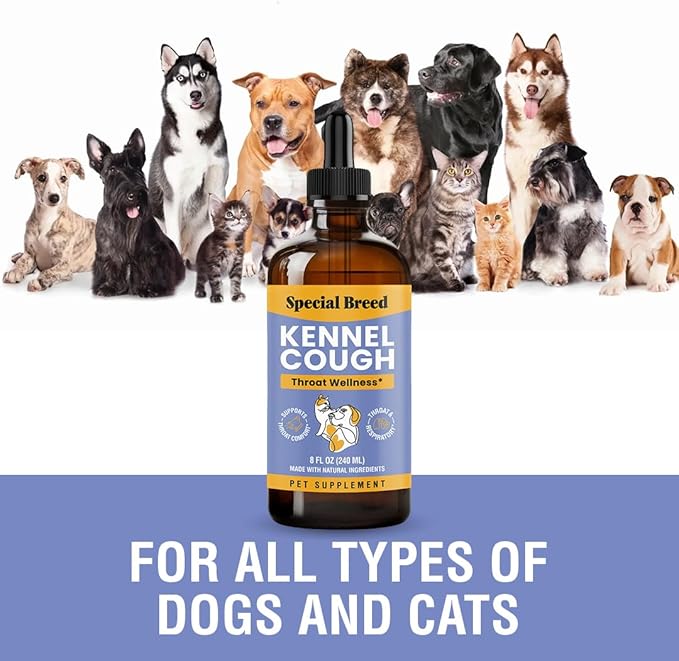 Kennel Cough Support for Dogs & Cats – Helps with Dry, Wet & Barking Cough – Herbal Pet Respiratory & Throat Support, Supports Breathing & Clear Airways – Natural Liquid Supplement – 8oz