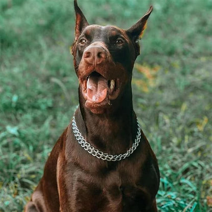 Dog Chain Collar Metal Martingale Anti Chew Training Collars Chew Proof, Chrome Plated, 2 Link for Small Medium Large Dogs (Silver, Large(for Neck 20-25''))