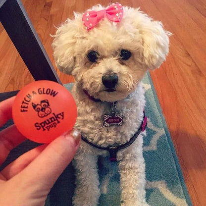 Spunky pup Dog Fetch Ball Small 2 Count (Pack of 1), (Assorted)