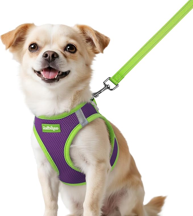 rabbitgoo Dog Harness Small Sized and Leash Set, Step-in Breathable Pet Harness, Soft Walking Reflective Puppy Vest for Small Dogs, Purple & Green, XXS