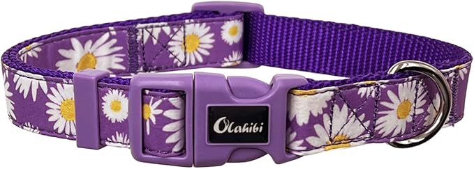 Dog Collar Leash Set, Floral Pattern, Nylon Webbing Plus Cotton Ribbon, 5ft Matching Leash, for Medium Dogs.(M, Purple Daisy)