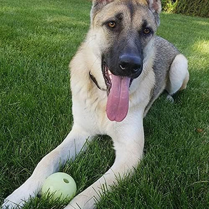 Chew King 2 Piece Glowing Fetch Ball