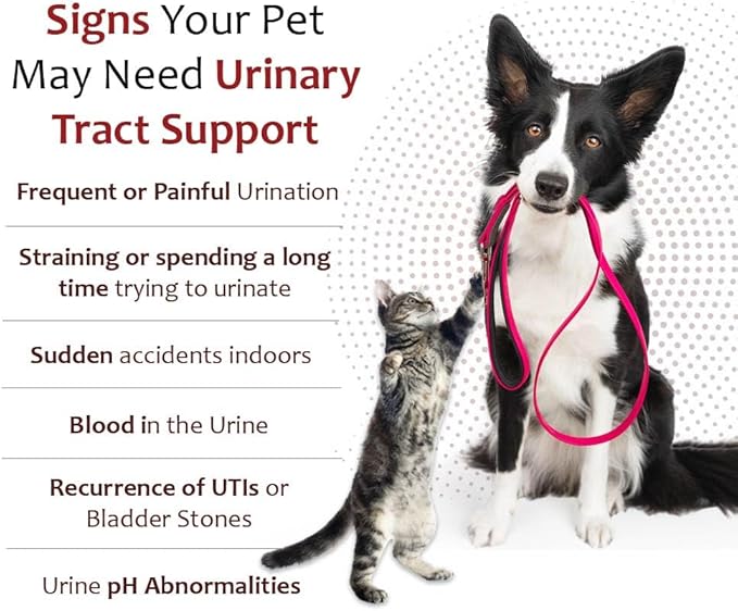 K-Plus Gel for Dogs & Cats – Potassium Citrate & Cranberry Supplement for Kidney, Urinary Tract Health, UTI Relief, Stone Prevention, Electrolyte Balance, Muscle & Heart Function - Made in USA - 5 oz