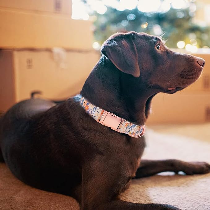 Dog Collar and Leash Set Girls Adjustable Puppy Collars with Floral Bow Tie for Small Medium Large Female Dogs, Orange Flower, M