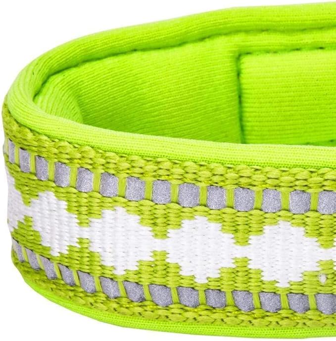 Blueberry Pet Reflective Jacquard Dog Collar with Neoprene Padding & Metal Buckle | Soft & Adjustable Safety Collar - Macaw Green, Neck 9-12.5", for Small Breed
