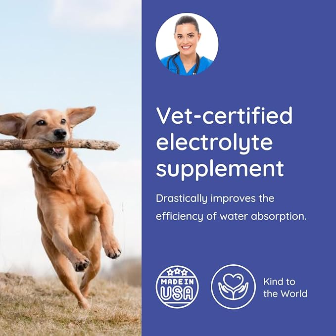 Petralyte Dog Electrolytes and Joint Supplement | Glucosamine, Chondroitin & MSM for Inflammation and Mobility Support | Electrolytes for Dogs with Prebiotics | Sample Pack | 8 Packets