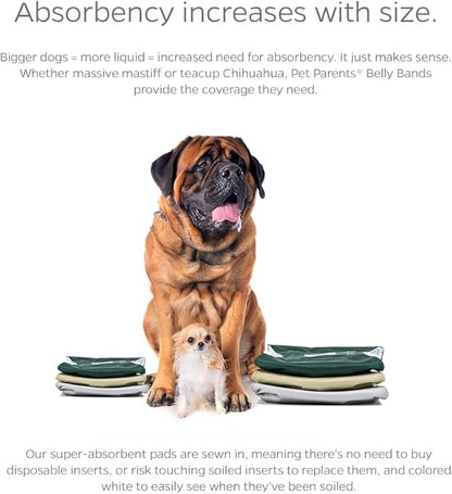 Pet Parents® Washable Belly Bands for Male Dogs (3pack) + Extendrs® of Durable Dog Diapers Male, Premium Male Dog Diapers & Dog Wraps (X-Small, Spruce)