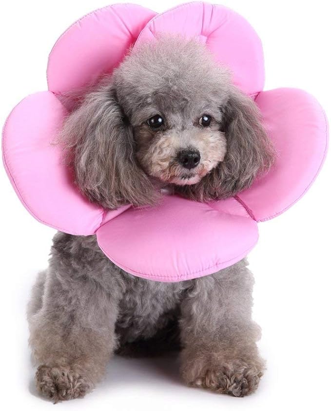 Dogs Cats Medical Grooming Pet E-Collar Recovery Remedy Protective Dog Lick Caught Soft Sponge Adjustable Postoperative Kit for Small and Medium Dog (Pink, S (neck's Girth 8.6" to 9.4"))