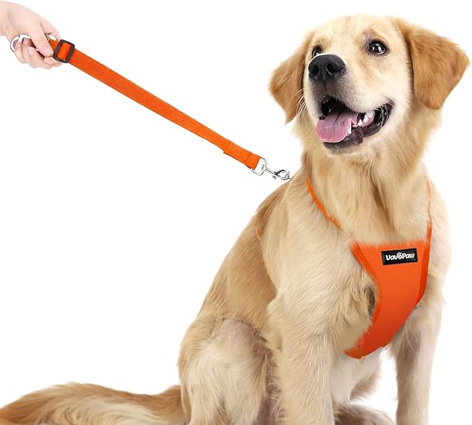 VavoPaw Dog Seat Belt, Safety Vest Dog Car Harness with Adjustable Buckle Dog Seat Belt for Vehicle Nylon Pet Safety Seat Belts Heavy Duty(L, Orange)