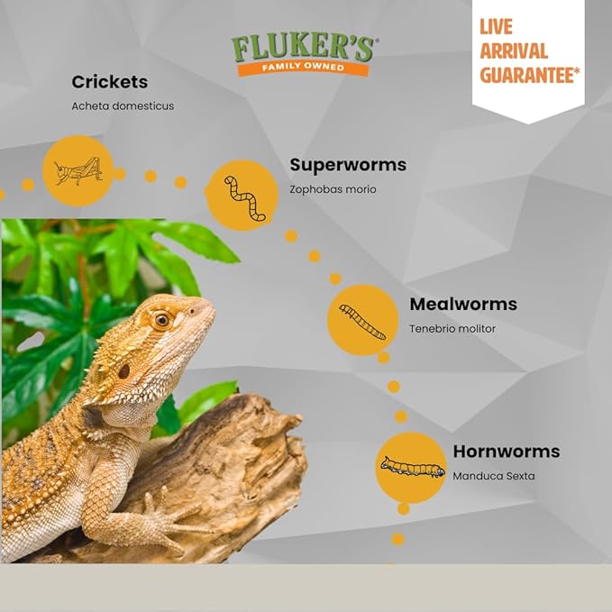 Fluker's Hornworms 24 Count - Reptile and Chicken Food