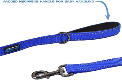 Max and Neo Reflective Nylon Dog Leash - Donate a Leash to Rescue for Each Sold (Black, 4ft)