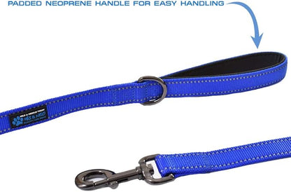 Max and Neo Double Handle Traffic Dog Leash - Reflective, Donates to Dog Rescue (Pink, 4 FT)