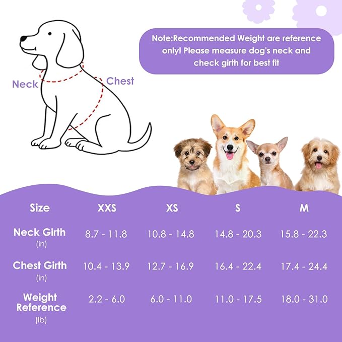 SlowTon Dog Harness Small Sized Dog - Soft XXS Dog Harness and Leash Set No Pull No Chock, Adjustable Lightweight Puppy Harness for XS Small Medium Dogs Cats (Solid Purple, XS)