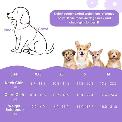 SlowTon Dog Harness Small Sized Dog - Soft XXS Dog Harness and Leash Set No Pull No Chock, Adjustable Lightweight Puppy Harness for XS Small Medium Dogs Cats (Solid Purple, XS)