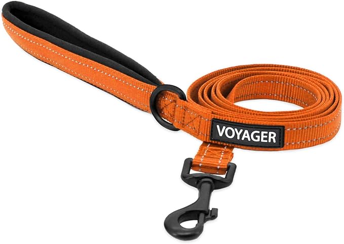 Best Pet Supplies Voyager Reflective Dog Leash or Collar with Neoprene Handle, for Small, Medium, and Large Breed Puppies, Cute and Heavy Duty for Walking, Running and Training - Orange (Leash), S
