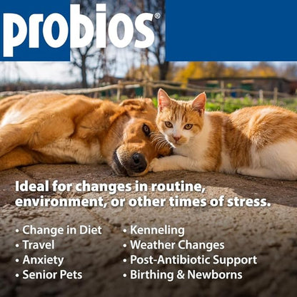 Probios for Dogs Soft Chews, Probiotics for Dogs, Daily Supplement for Gut Health, Digestion & Immune Support, Medium & Large Breeds, 8.46oz (Pack of 2)