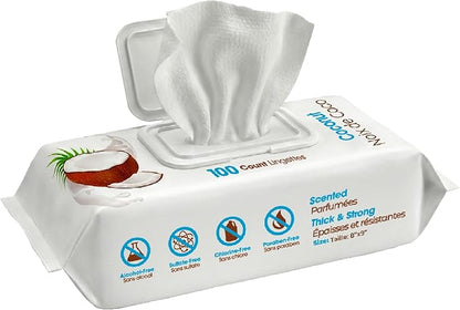 Best Pet Supplies 8" x 9" Large Dog Wipes - Cleaning and Deodorizing for Paws and Coat - Gentle Formula with Coconut Vitamin E for Puppies and Cats - 100 Count