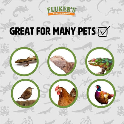 Fluker's Hornworms 24 Count - Reptile and Chicken Food