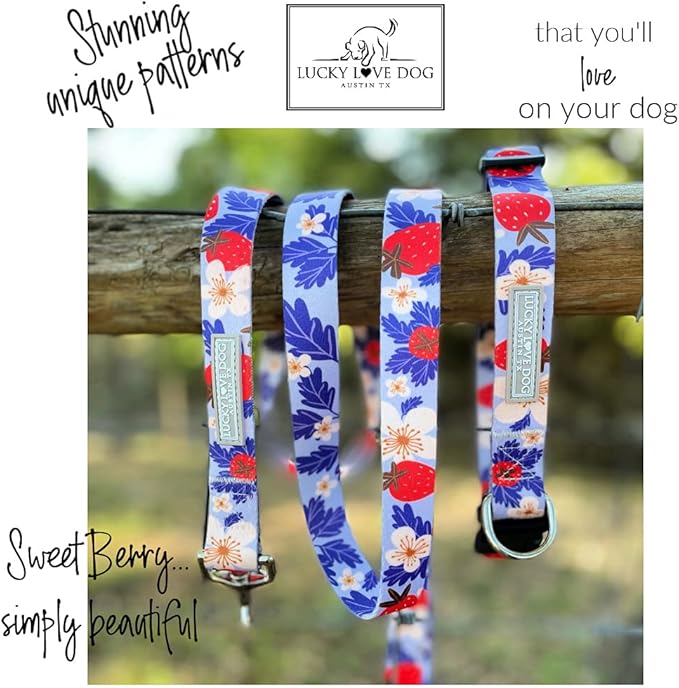 Lucky Love Dog Martingale Collar, Premium Fun Girl No Slip Collars, Strawberry Martingale Medium Dog Collar, Great for Whippets, Greyhounds, and More (Sweet Berry, Medium)