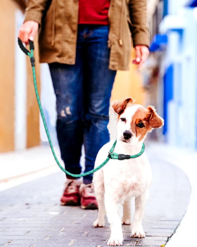 TagME 6ft Slip Dog Lead, No Pull Reflective Training Leash with Padded Handle, Professional Rope P-Leash for Small Medium Large Dogs, Heavy Duty Correction Lead for Walking & Training (Turquoise)