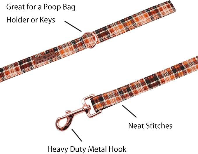 Lionet Paws Dog Leash for Small Dogs, Orange, Blue, 4.4ft (135cm), Snap Closure