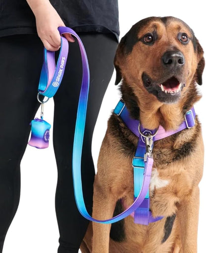 Spark Paws Premium Dog Leash & Poop Bag Set - Heavy-Duty Alloy Hook for Strong Pulling Breeds - Comfortable, Durable & Secure - 90s Retro