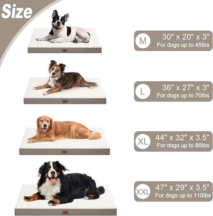 Orthopedic Dog Bed for Large Dogs, Plush Washable Pet Bed for Large Size Dogs with Egg Crate Foam & Removable Oxford Cover, 36x27 Inch, Khaki White