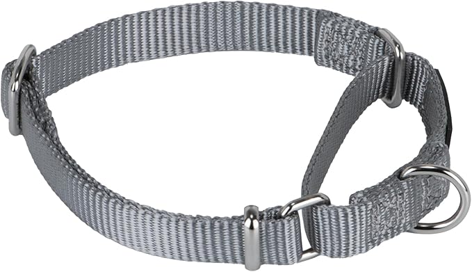 Hyhug Martingale Collar for Dogs Small Gray |Escape - Proof Heavy Duty Nylon Durable No Buckle, Ideal for Training & Daily Walks