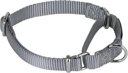 Hyhug Martingale Collar for Dogs Small Gray |Escape - Proof Heavy Duty Nylon Durable No Buckle, Ideal for Training & Daily Walks