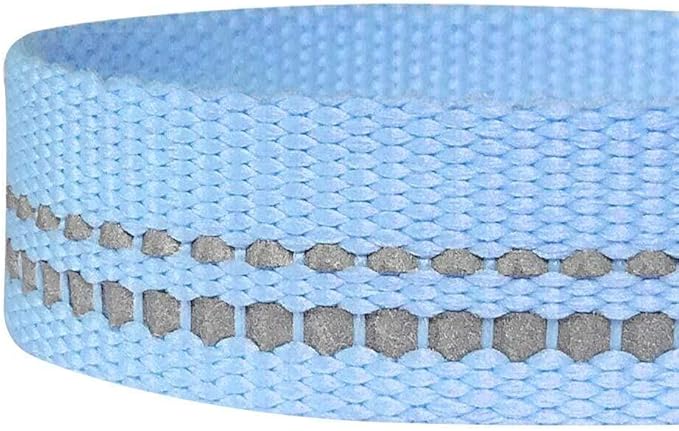 Blueberry Pet 3M Reflective Pastel Color Dog Leash with Soft & Comfortable Handle, 4 ft x 1", Baby Blue, Large, Leashes for Dogs