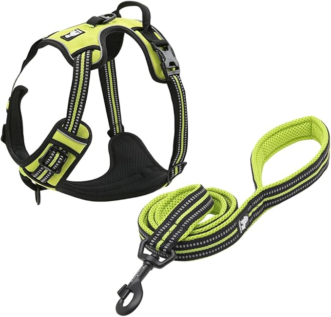 Creation Core Reflective Nylon Dog Harness and Training Leash Set Padded Durable Adjustable, Green XS