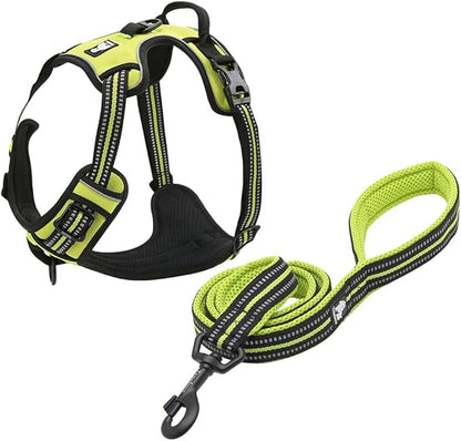 Creation Core Reflective Nylon Dog Harness and Training Leash Set Padded Durable Adjustable, Green XS