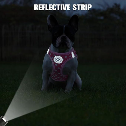 BEAUTYZOO Step in Dog Harness and Leash Set, Polka Dot Pattern Reflective Dog Harness No Pull No Choke Puppy Harness for XXS XS S Dogs Cats, Soft Padded Mesh Vest Harnesses for Girl and Boy Pets