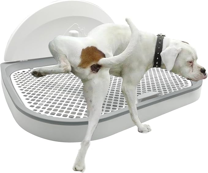 Tfwadmx Pee Pad Holder Dog Potty Tray with Splash Guard & Center Post Mesh Training Toilet Potty Tray Puppy Pad Holder for Puppy and Small Size Dog (Grey, 22.4"×17.7")