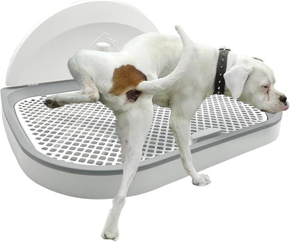 Tfwadmx Pee Pad Holder Dog Potty Tray with Splash Guard & Center Post Mesh Training Toilet Potty Tray Puppy Pad Holder for Puppy and Small Size Dog (Grey, 22.4"×17.7")