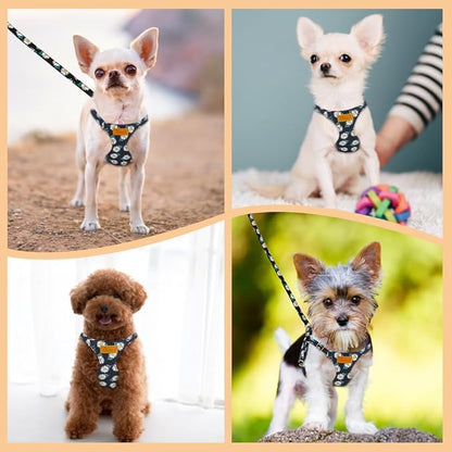 Lukovee Puppy Harness and Leash Set, No Pull Lightweight Soft Suede Adjustable Pet Harness Vest with Snap Buckle for Puppy Small and Medium Size Dog (Black-XS)