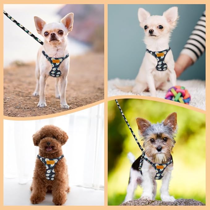 Lukovee Puppy Harness and Leash Set, No Pull Lightweight Soft Suede Adjustable Pet Harness Vest with Snap Buckle for Puppy Small and Medium Size Dog (Black-XXS)