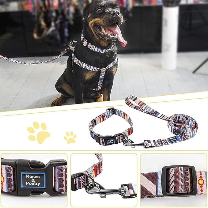 Roses&Poetry Dog Collar and Leash for Small,Adjustable Durable Blue 5ft Puppy Leash Collar for Dog Training Lead（Stripe-M）