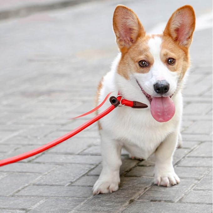 BTINESFUL 7ft Slip Lead Dog Leash, Strong Nylon Rope Leash, 1/4" Dog Training Lead for Small Medium Dogs, 14+ Colors (1/4" * 7 FT, Red)