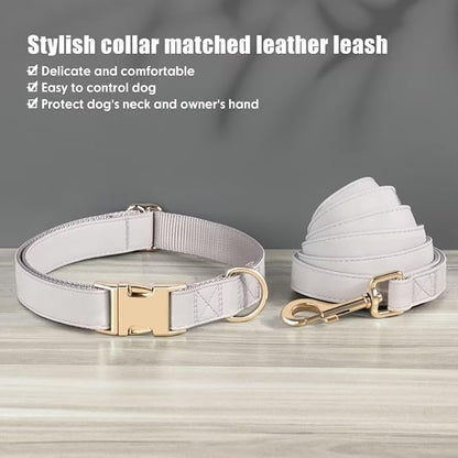 PET ARTIST Soft PU Leather Dog Collar and Leash Set, Bright & Stylish 5FT PU Leather Leash and Collar Set, Durable Pet Collars with Quick Release Metal Buckle for Medium Dogs,Gray,M(13-19")