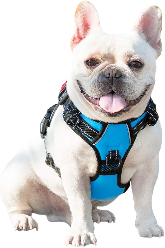 PHOEPET No Pull Dog Harnesses for Small Dogs Reflective Adjustable Front Clip Vest with Handle 2 Metal Rings 3 Buckles [Easy to Put on & Take Off](S, Blue)